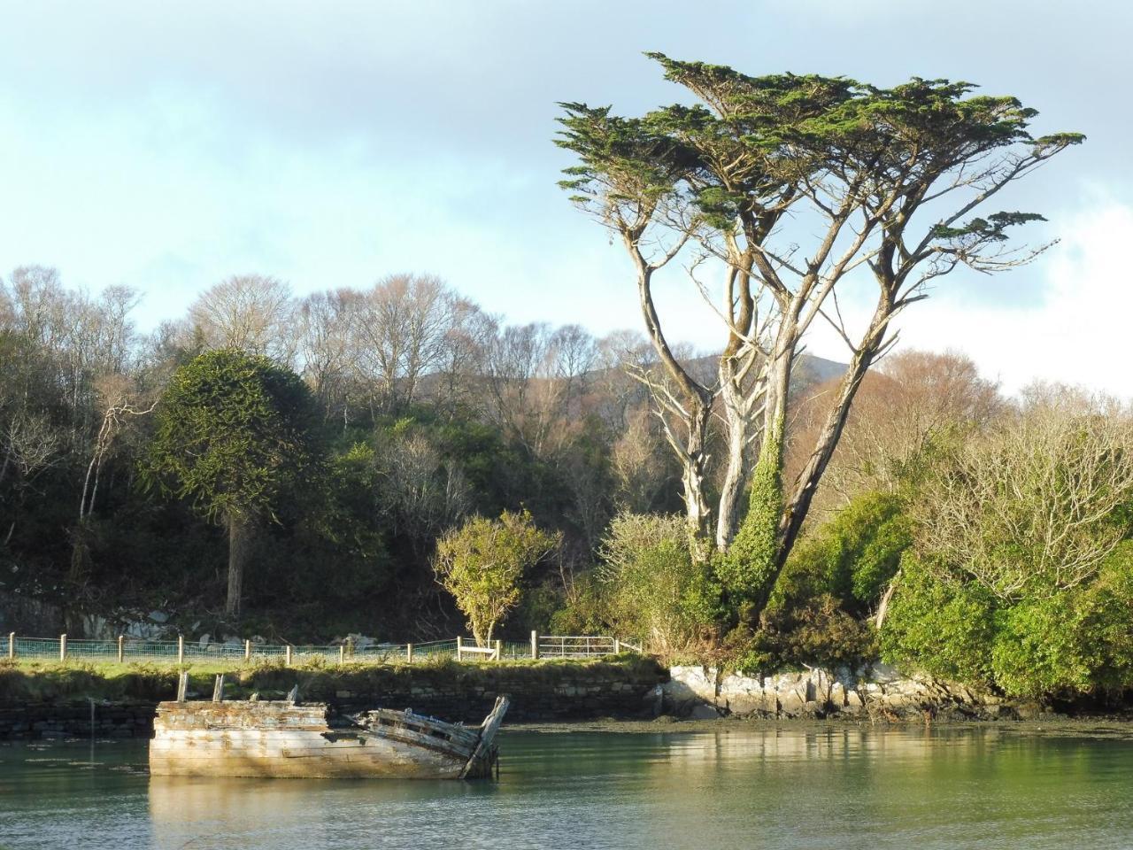 Island View House Bed & Breakfast Castletownbere Dış mekan fotoğraf