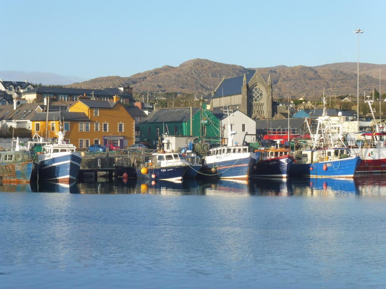 Island View House Bed & Breakfast Castletownbere Dış mekan fotoğraf